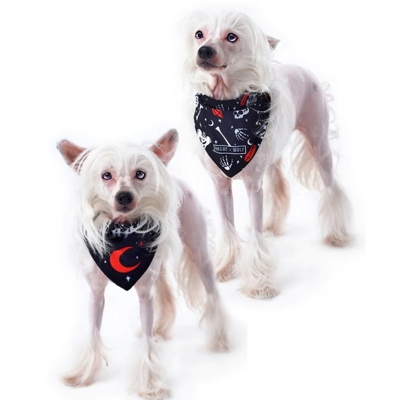 Rogue + Wolf ✦ “You Can’t Dig With Us” Reversible Pet Bandana ✦ Bones + Crystals - Picture 2 of 16